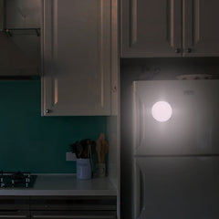 Luz nocturna magnética LED colorida para gatos