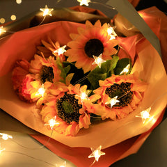 1pc HEEMUUM Starry Night Decoration Light - Modern Plastic Pink Star String Lights for Christmas, Weddings, Parties, Home & Fireplace Decor - Battery-Free Indoor/Outdoor String Lights with Switch Control, Christmas Lights, Party Ambiance Lighting, Elegant