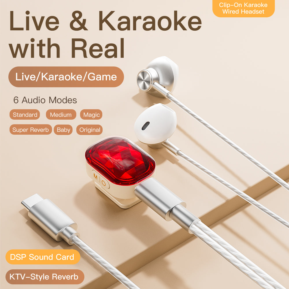 P300 karaoke earphones main image 1