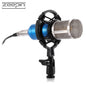 ZEEPIN BM - 800 Audio Sound Recording Condenser Microphone with Shock Mount