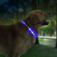 XL81 - 5001 Waterproof Lighting USB Pet Collar from Xiaomi youpin