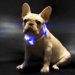 XL81 - 5001 Waterproof Lighting USB Pet Collar from Xiaomi youpin
