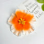 Seaside Holiday Windy Colored Fusang Flower Hairpin Hairpin Hair Accessories