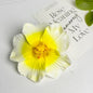 Seaside Holiday Windy Colored Fusang Flower Hairpin Hairpin Hair Accessories