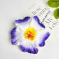 Seaside Holiday Windy Colored Fusang Flower Hairpin Hairpin Hair Accessories