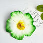 Seaside Holiday Windy Colored Fusang Flower Hairpin Hairpin Hair Accessories