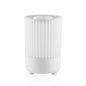 2025 New Rainbow Aromatherapy Humidifier Desktop Air Humidifier for Home Office Car USB Flame Mini Humidifier