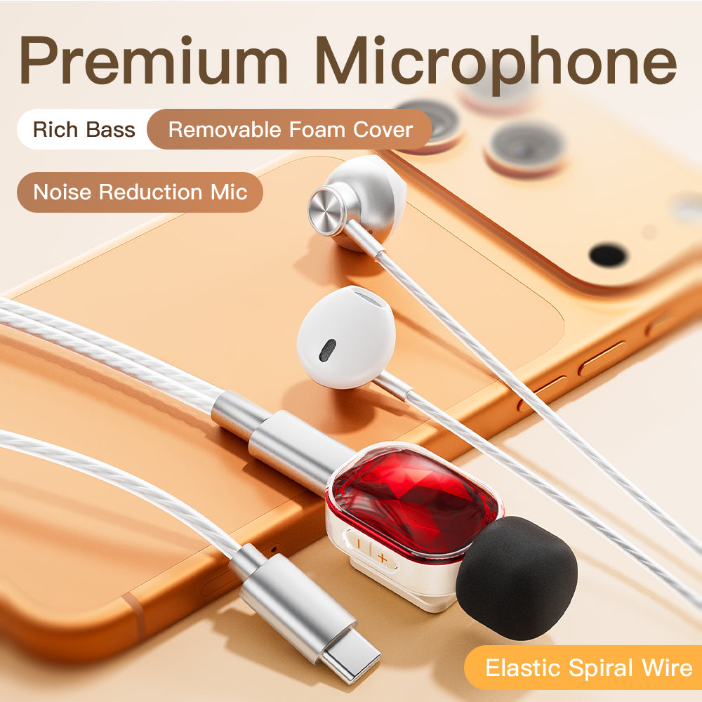 P300 karaoke earphones main image 3