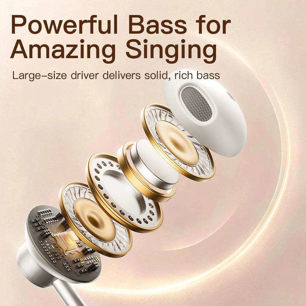 P300 karaoke earphones main image 6