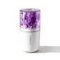 TD0099 PURPLE variant