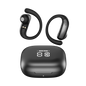 TD0110 BLACK variant