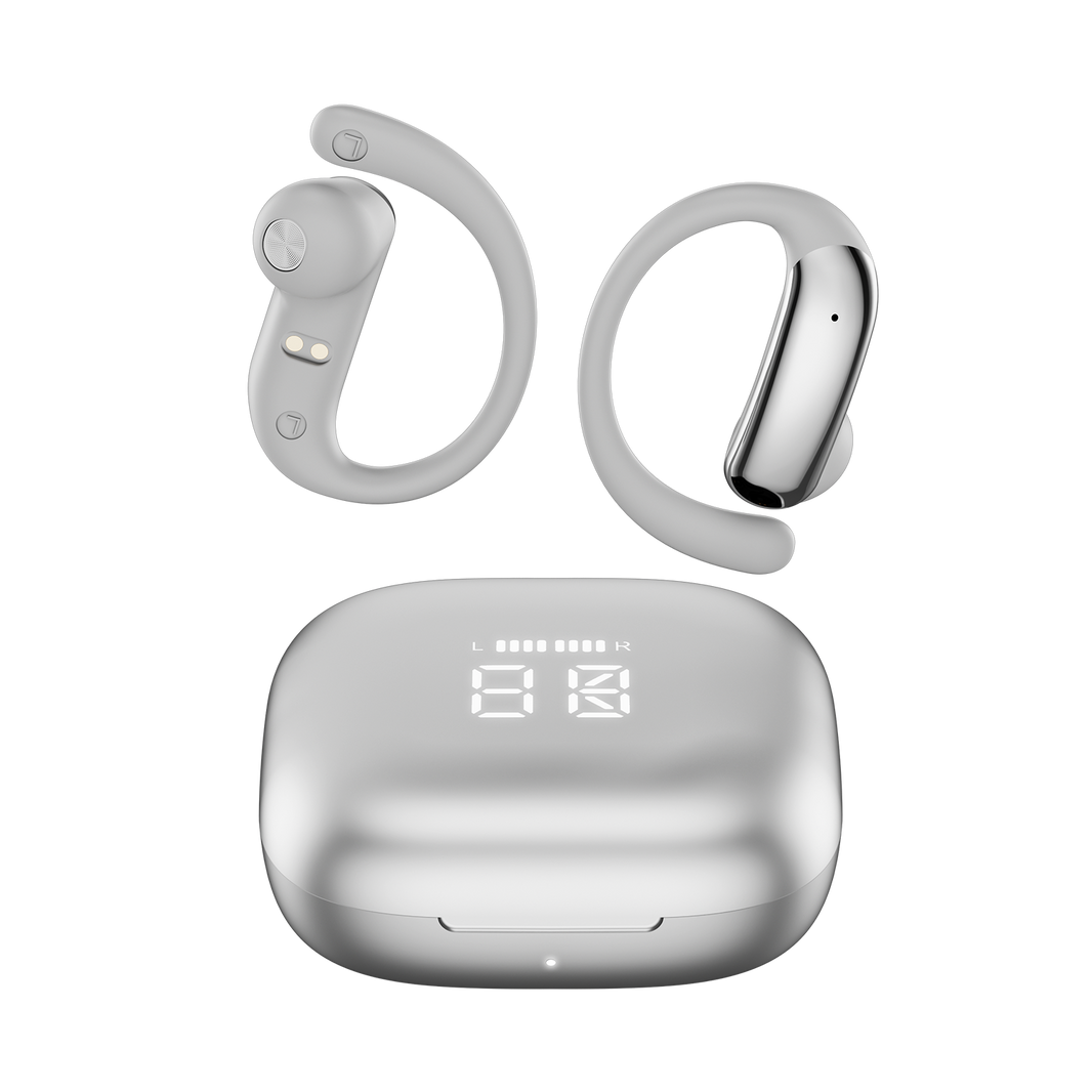 TD0110 SILVER variant