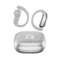 TD0110 SILVER variant